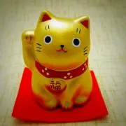 zooomの画像