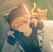 Pomuの画像