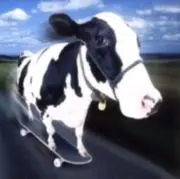 エペソンの画像