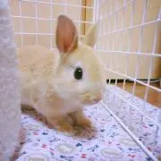 プリンス♡の画像