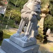 こまゆの画像