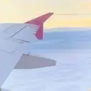 DDの画像