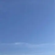 chibrrの画像