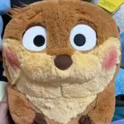 ぺっぺの画像