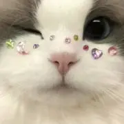 ちひろの画像