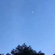 noppiの画像