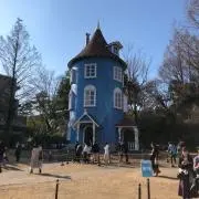 なめこの画像