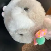 Non