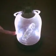 su_の画像
