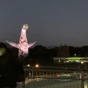 まいたけ