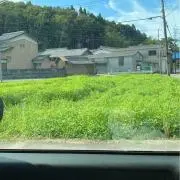 M【売れなければ処分！全てお値下げ可】の画像