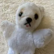 mumuの画像