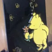 gtjeds