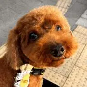 おみつの画像
