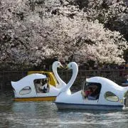 みの画像