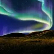 シニチロ⭐の画像