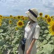 HIMAWARIの画像