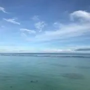 hinaの画像