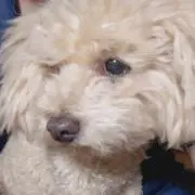 ☺︎☺︎☺︎の画像
