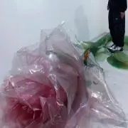 プロフィール必読の画像