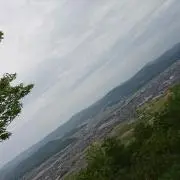 シモーの画像
