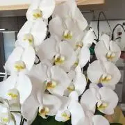 @Y(ë)s!!!