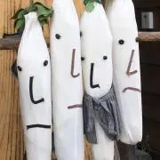 大根兄弟の画像