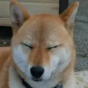 ふくすけくんの画像