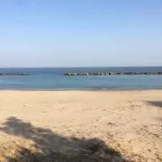 秋