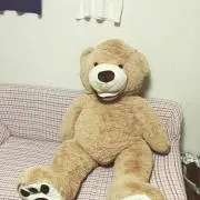 のり