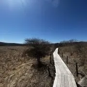 いいやん