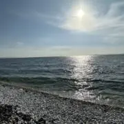 ペペロンチビの画像