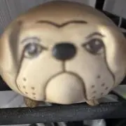 イノシシの画像