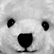 サクマイ※プロフィールを一読お願いしますの画像