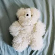 ねりけしの画像