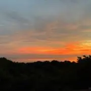 雫の画像