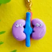 肝臓胆嚢膵臓 手作り 臓器 キーホルダー ハンドメイド - メルカリ