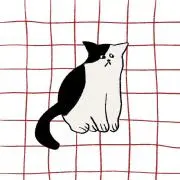 りんごの画像