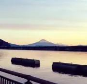 しんぞの画像