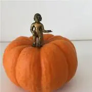 たこりん商店の画像