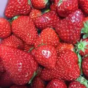 ひさの画像