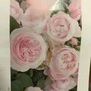 ウッチ—の画像