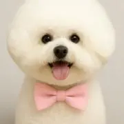 ピーちゃんの画像