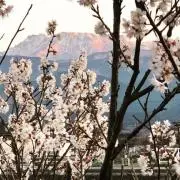 あーこichiの画像