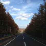 ケローンの画像