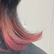 Rの画像