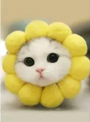 ★HAPPY★の画像