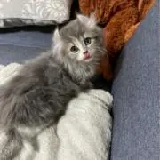 葛木