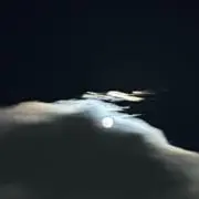 MIKOTOの画像