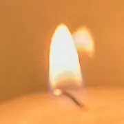 モモンガの画像